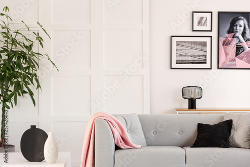Gallery of posters on white wall of contemporary living room interior with grey scandinavian couch and green plant