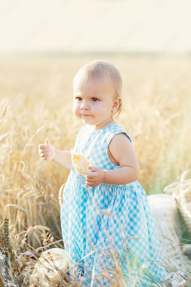 cute happy little girl in wheat field on a warm summer day