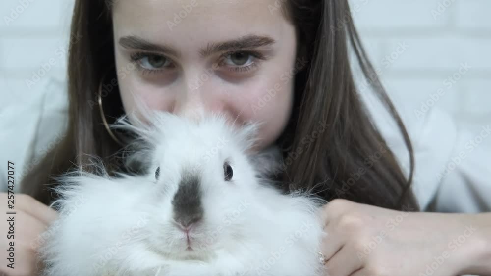 Girl playing with a white rabbit. Beautiful girl with a fluffy white rabbit. Girl playing with a white rabbit. Beautiful girl with a fluffy white rabbit.
