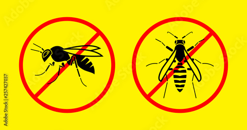 bee, wasp, vector illustration