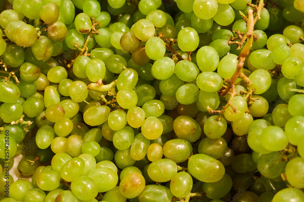 Bunches of green grapes on the store counter Bunches of green grapes on the store counter