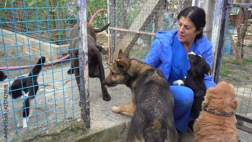 4K Cat that lives with dogs in the kennels and their caretaker