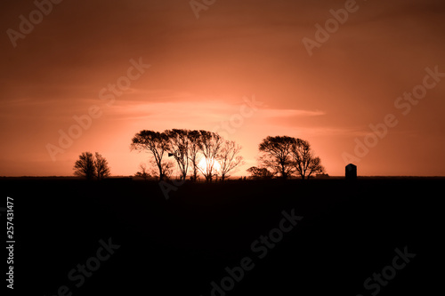 Rural sunset landscape  Buenos Aires province   Argentina