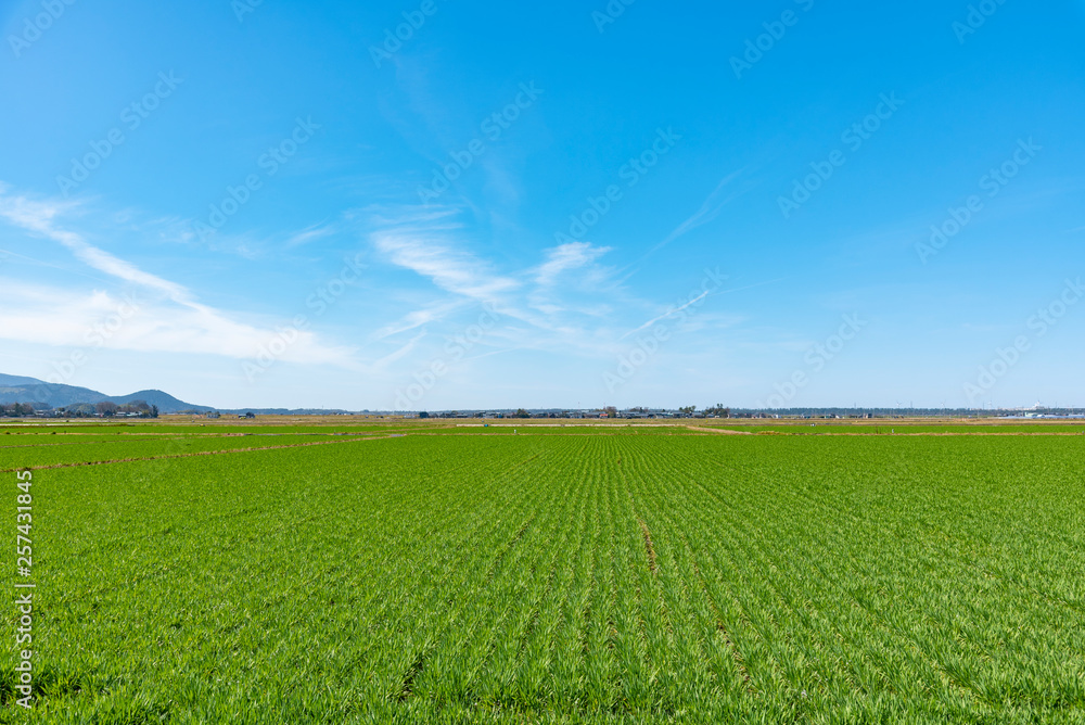 landscape background for summer ,Blue sky and beautiful cloud landscape background for summer ,Blue sky and beautiful cloud