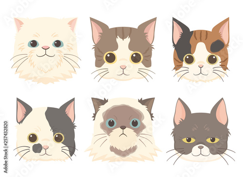cats