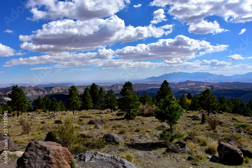 Dixie National Forest