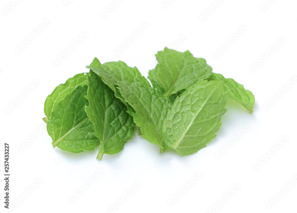 Fresh mint leaves pattern isolated on white background Fresh mint leaves pattern isolated on white background