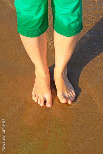lady's foot on the sea beach