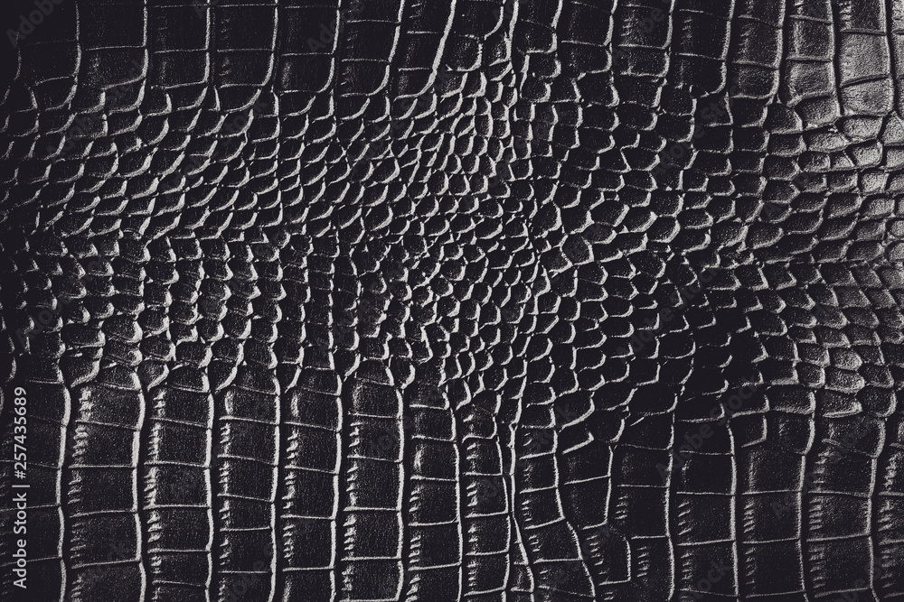 Black crocodile leather texture background Ready used us backdrop or  products design Stock Photo | Adobe Stock