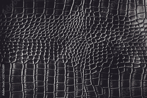 Black crocodile leather texture background Ready used us backdrop or products design