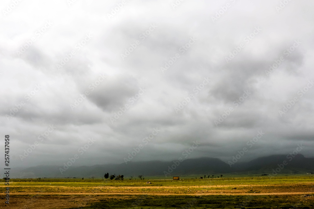 Lush green landscape, trees and foggy mountains in Ayn Khor tourist resort, Salalah, Oman