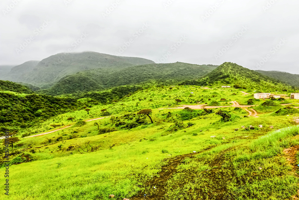 Lush green landscape, trees and foggy mountains in Ayn Khor tourist resort, Salalah, Oman Lush green landscape, trees and foggy mountains in Ayn Khor tourist resort, Salalah, Oman