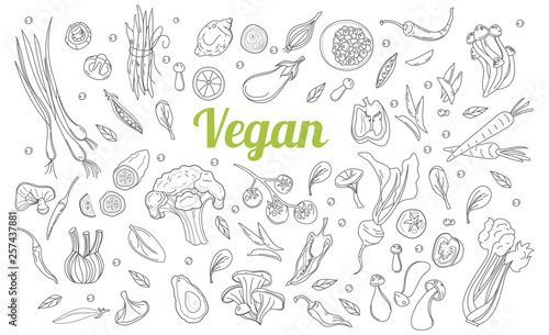 Fototapeta Styl szkicu. Ręcznie rysowane zestaw doodles składników zdrowej żywności w wektorze. Zdrowa dieta wegańska, źródła białka wegetariańskiego.