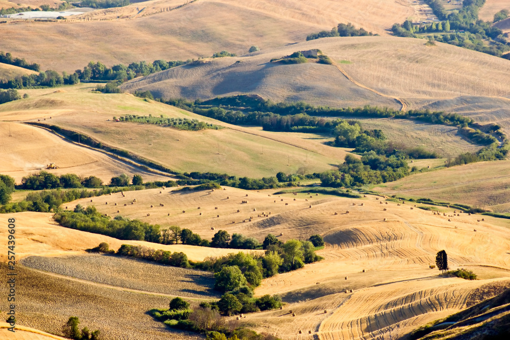 view of typical Tuscany landscape in summer, Italy