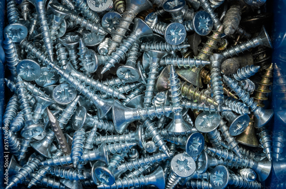 Fasteners bolts and nuts in the organizer Fasteners bolts and nuts in the organizer