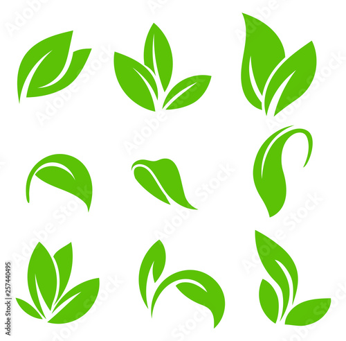 Leaves icon vector set isolated on white background. Various shapes of green leaves of trees and plants.