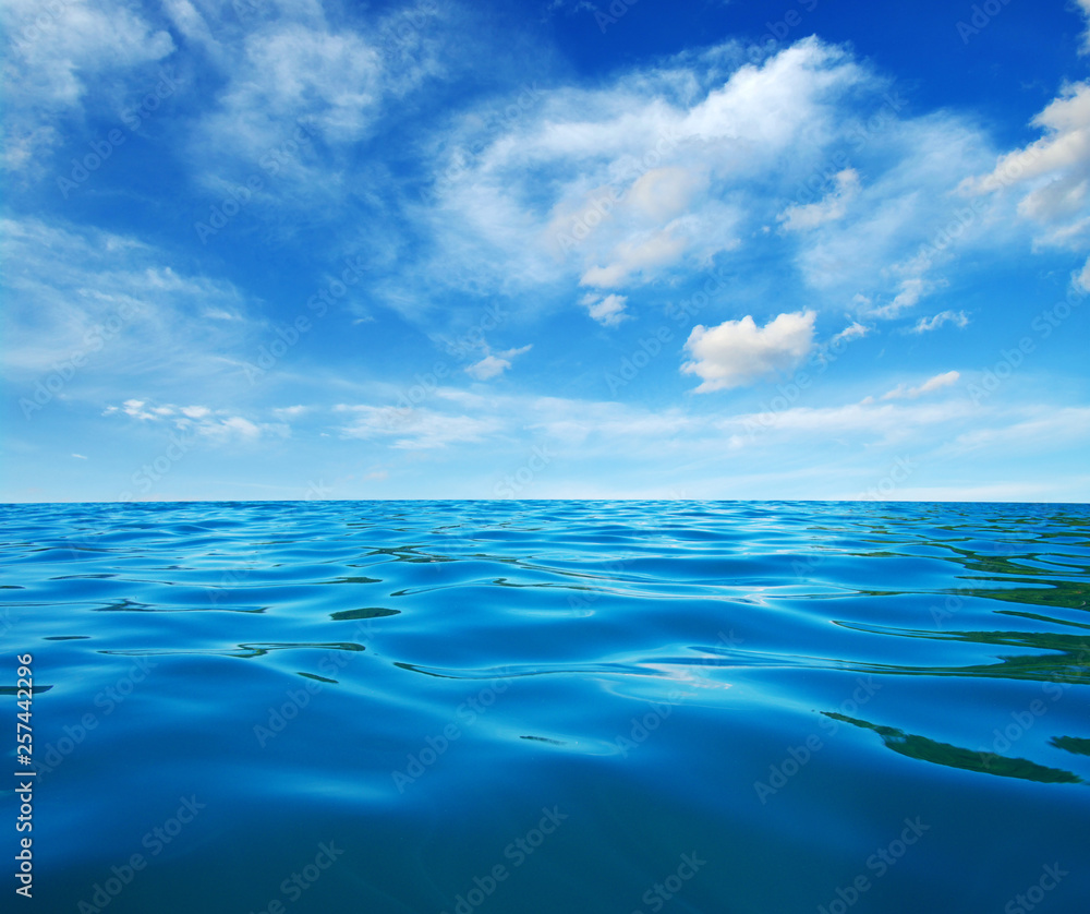 Blue sea water - obrazy, fototapety, plakaty 