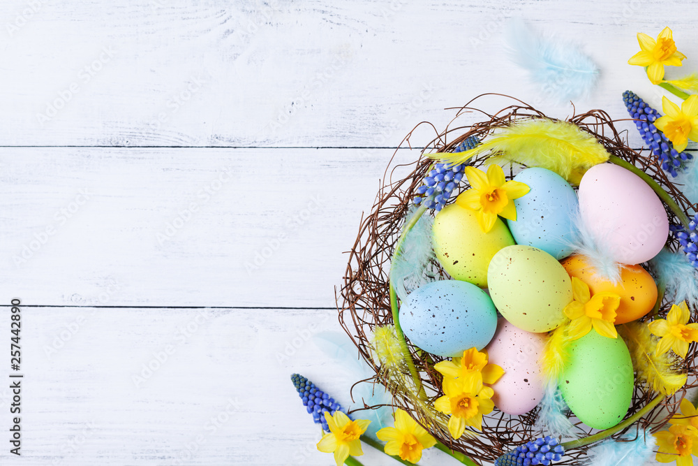 Fototapeta Kolorowi Wielkanocni jajka w gniazdeczku, piórku i wiośnie, kwitną na białym stołowym odgórnym widoku. Kartka świąteczna lub baner.
