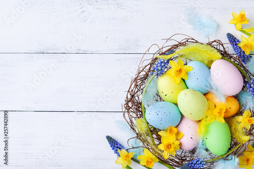 Сolorful Easter eggs in nest, feather and spring flowers on white table top view. Holiday card or banner.
