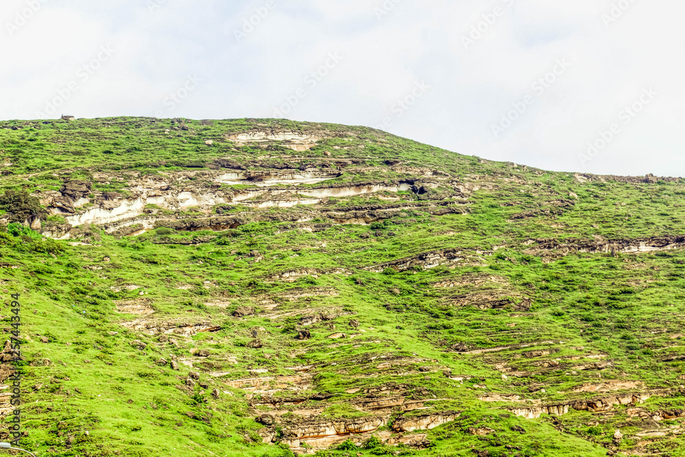 Lush green landscape, trees and foggy mountains in Ayn Khor tourist resort, Salalah, Oman