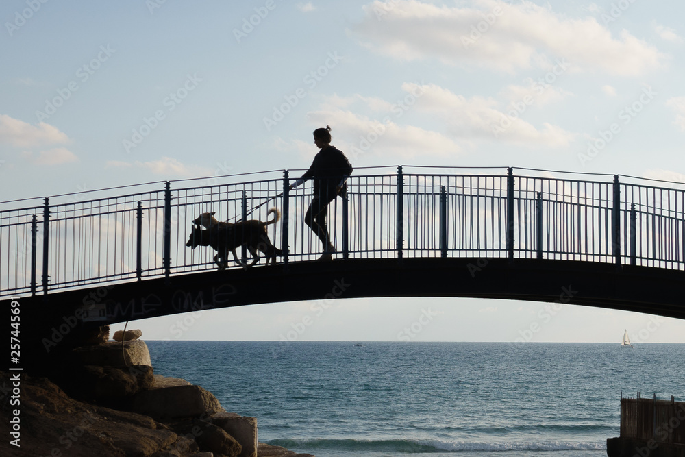 Silhouette of young lady walking with two dogs on the bridge