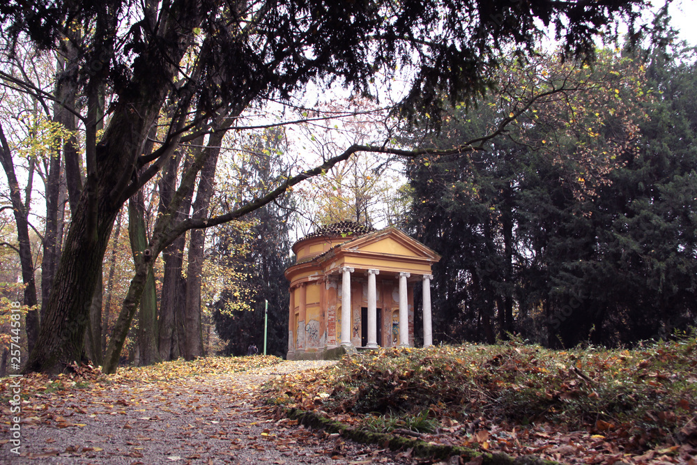 old building in a forest