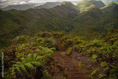 Hawaii Loa Stairs