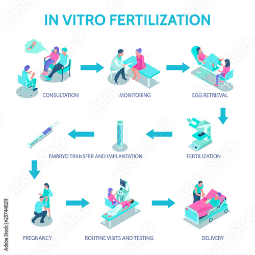 In Vitro Fertilization Poster