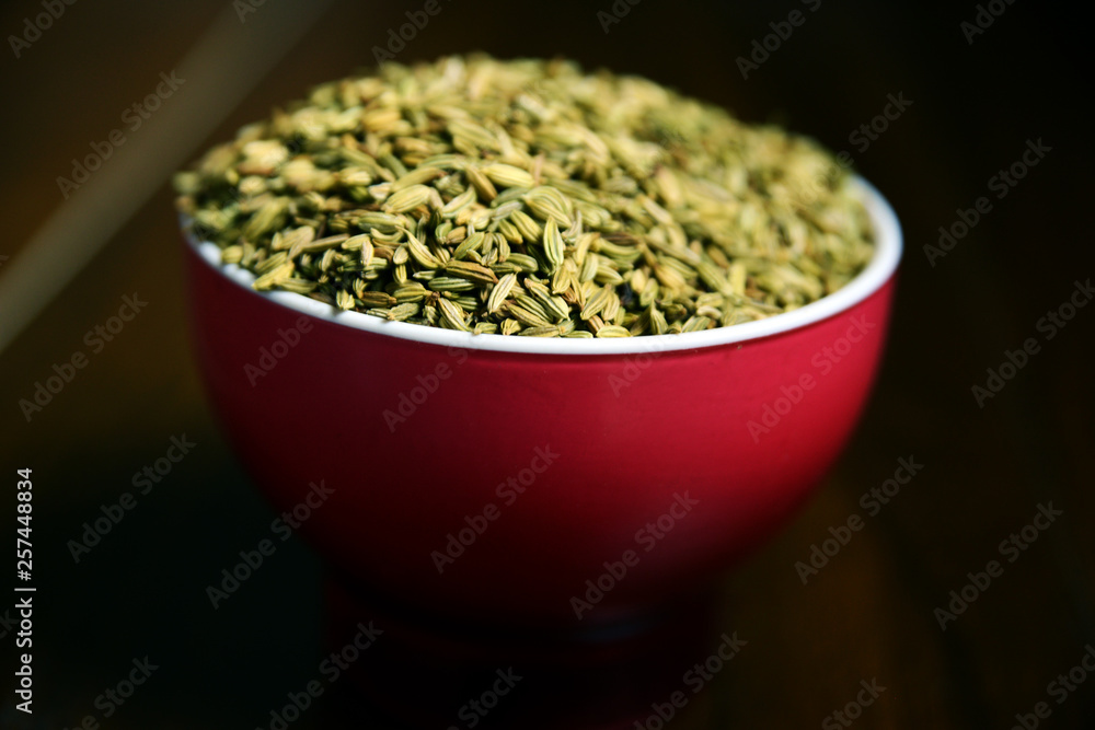 Fennel Seeds or Roasted saunf in a bowl, selective focus Fennel Seeds or Roasted saunf in a bowl, selective focus