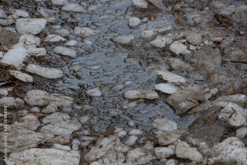 natural texture of pieces of gray ice and muddy water in a puddle natural texture of pieces of gray ice and muddy water in a puddle