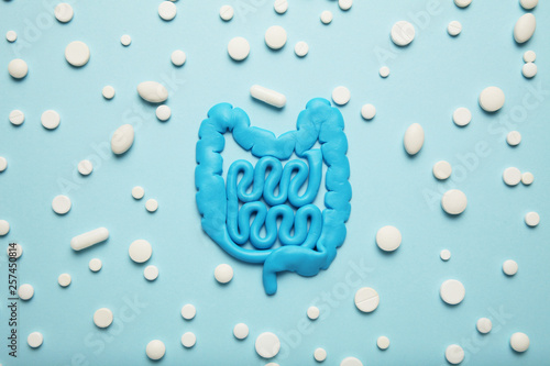 Φωτογραφία Intestines and pills, probiotics, antibiotics