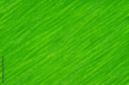 Abstract textured green bac...