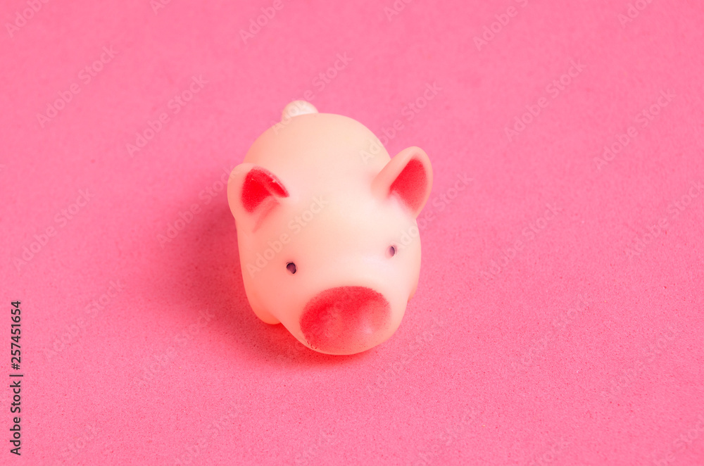 Small, pink, rubber toy pig on pink background. Small, pink, rubber toy pig on pink background.