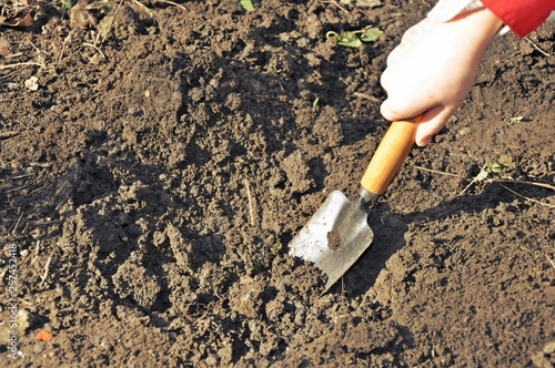 Top view of a gardening tool in a white child hand who dig into the soil