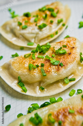 Chinese fried dumplings. Grey background, top view, close up