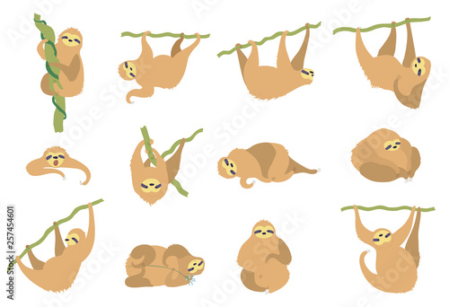Vector illustration set of cute character sloth
