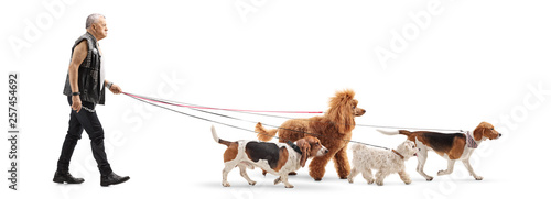 Canvas Print Senior dog walker in leather vest with four dogs