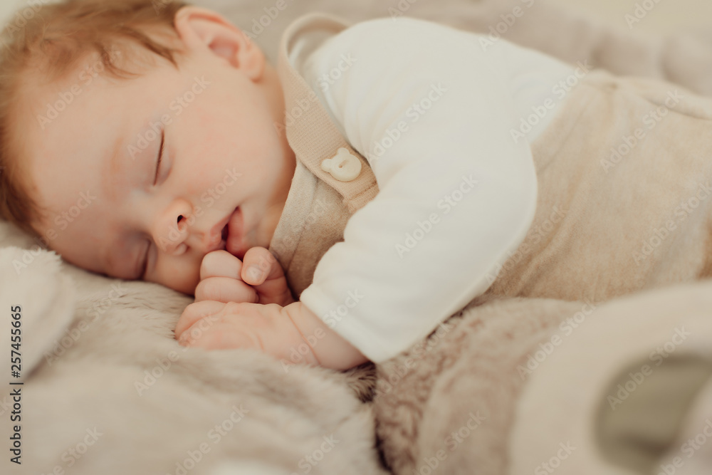 Portrait of a newborn baby sleeping Portrait of a newborn baby sleeping