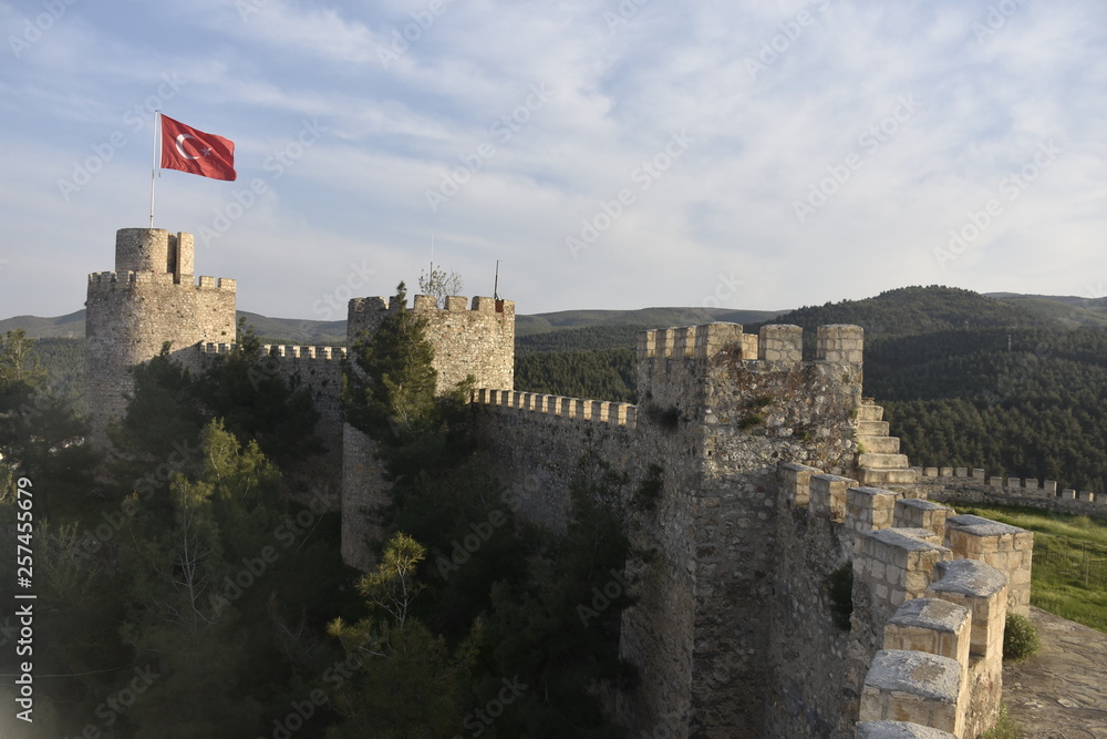 Castle and Flag