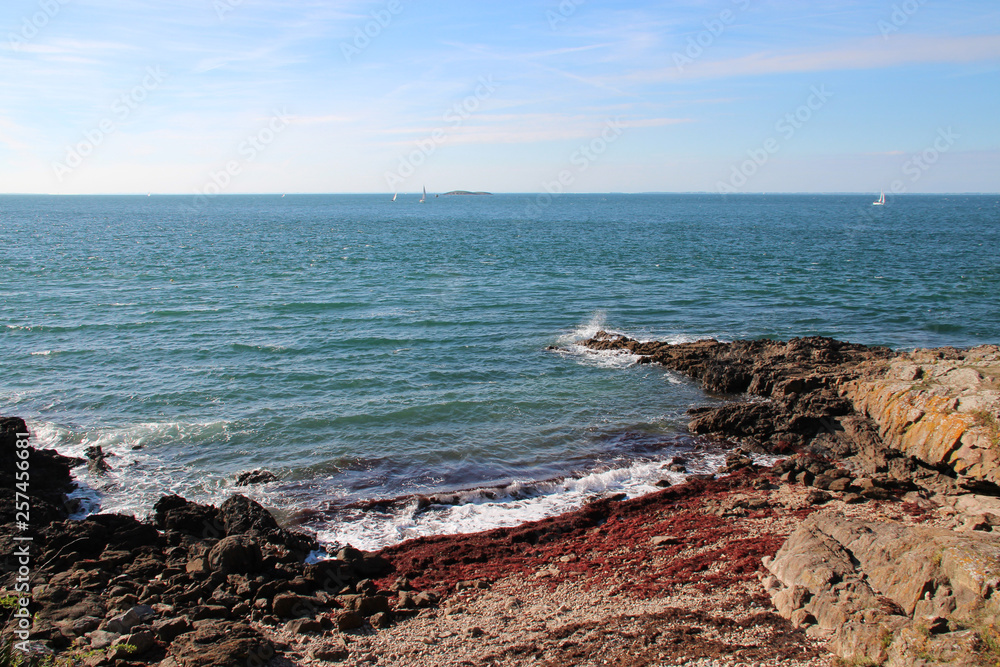 Atlantic littoral in Arzon (Brittany - France) Atlantic littoral in Arzon (Brittany - France)