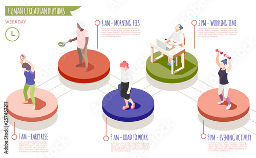 Human Circadian Rhythms Isometric Infographics