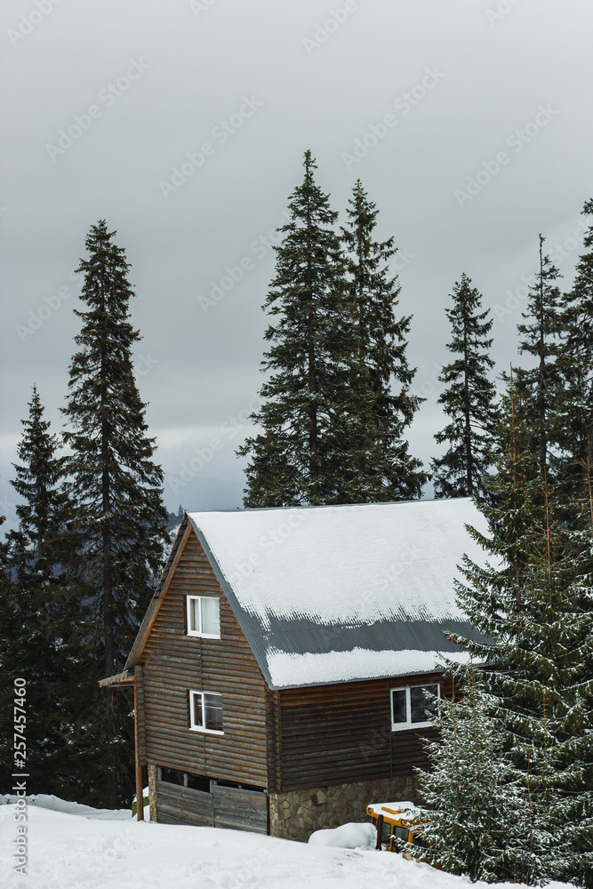 Winter wooden house cabin snow covered trees in the pine wood