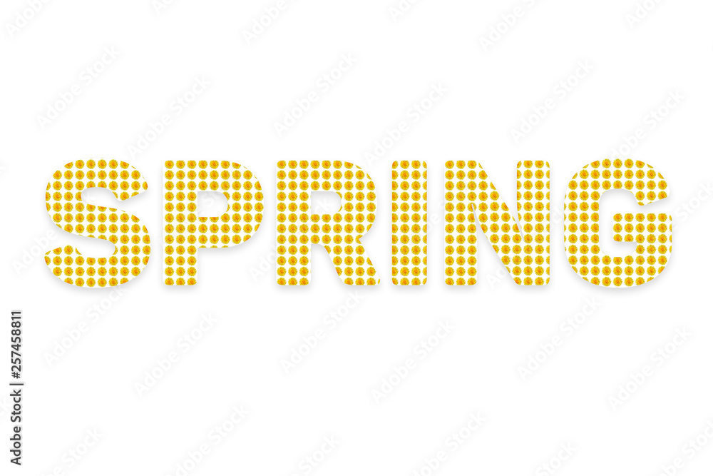 Word spring on white background. The background of the text consists of yellow flowers. Spring concept Word spring on white background. The background of the text consists of yellow flowers. Spring concept
