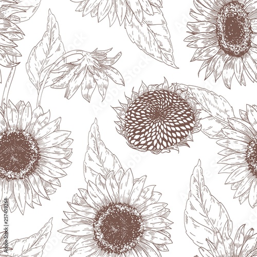 Monochrome floral seamless pattern with sunflower heads