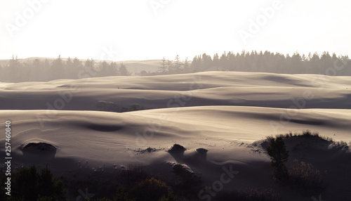 Send dunes travel  west coast organ Sand