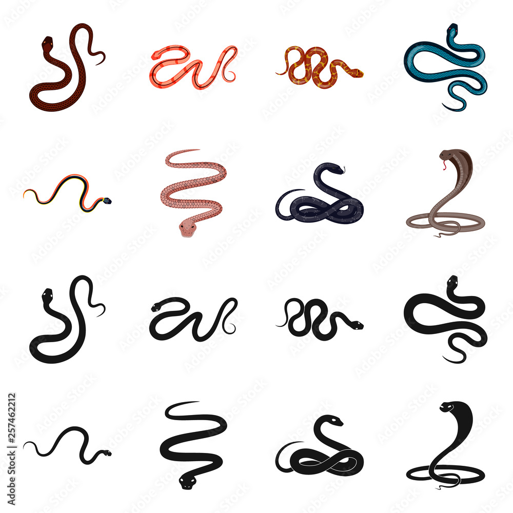 Vector illustration of mammal and danger sign. Collection of mammal and medicine stock symbol for web. Vector illustration of mammal and danger sign. Collection of mammal and medicine stock symbol for web.