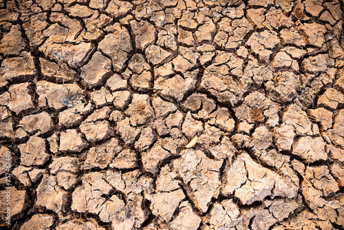 Cracked soil texture background, dried and drought, climate change