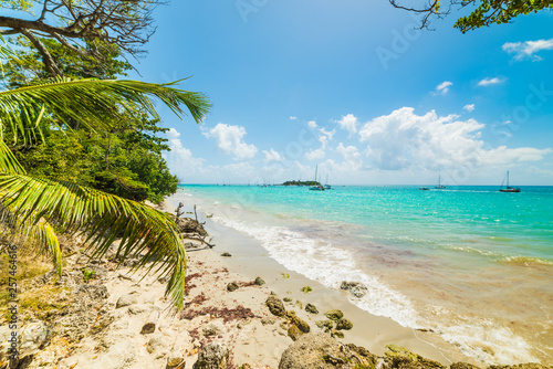 Fototapeta Naklejka Na Ścianę i Meble -  Turquoise water in La Datcha beach in Guadeloupe