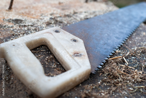 Wallpaper Mural old saw on old wood, rusty toothed saw, Torontodigital.ca