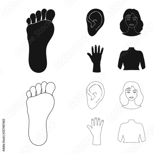 Isolated object of body and part sign. Collection of body and anatomy stock vector illustration.